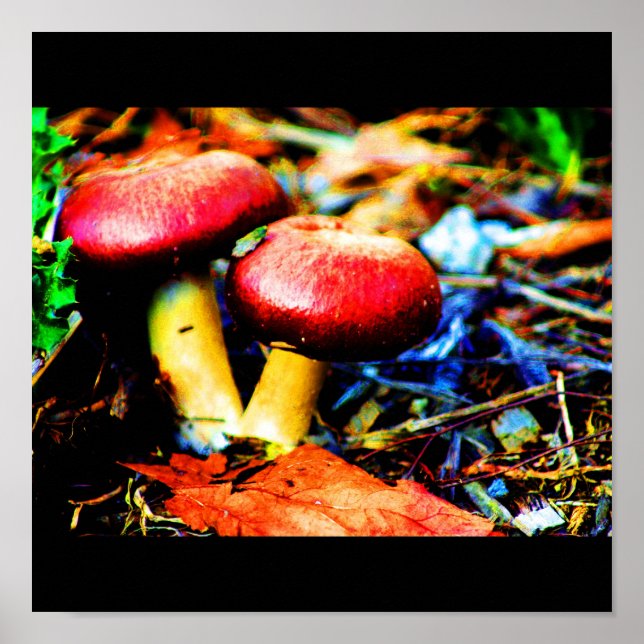 Poster-Food/Drink-18 Poster (Front)