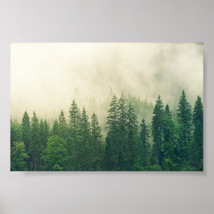 poster Forest, big forest