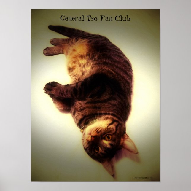 Poster - General Tso Fan Club (Front)