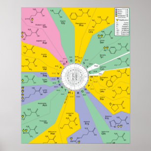 Poster GeneticCode amino acids codons