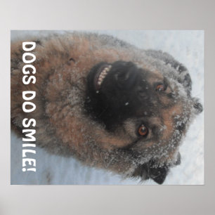 Poster German Shepherd In The Snow Smiling