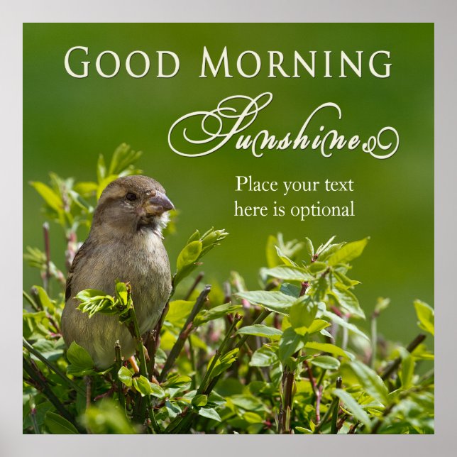 Poster - Good Morning Sunshine - Bird in Bush (Front)
