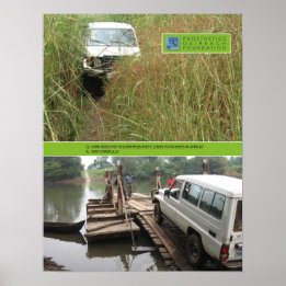 Leg Posters & Photo Prints | Zazzle AU