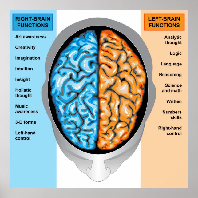 Poster Human brain left and right functions (Front)