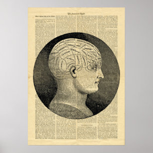 Poster Human Head Phrenology on newspaper
