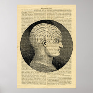 Poster Human Head Phrenology on newspaper