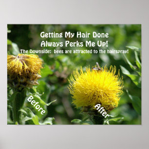 Poster, Humour, "Getting Hair Done Perks Me Up" Poster