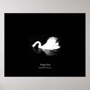 Poster, Hungry Swan, Black & White, Photography Poster