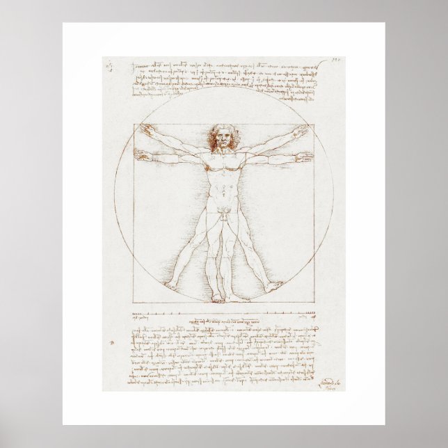 POSTER : LEONARDO DA VINCI : VITRUVIAN MAN (Front)