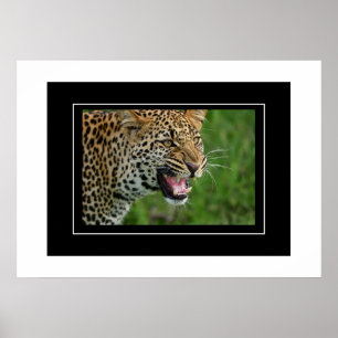 Poster Leopard
