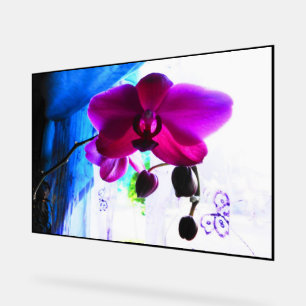 Poster, Magenta Orchid, color background options Acrylic Sign