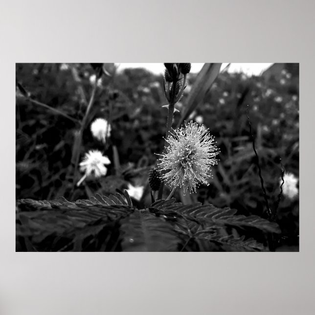 Poster Maria closes the door - dark (Front)