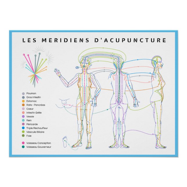 Poster Méridiens d'Acupuncture, Chinese medicine (Front)
