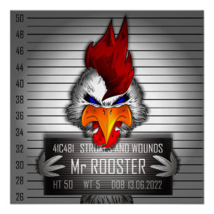 Poster Mr. Rooster