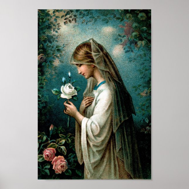 Poster: Mystical Rose Poster (Front)