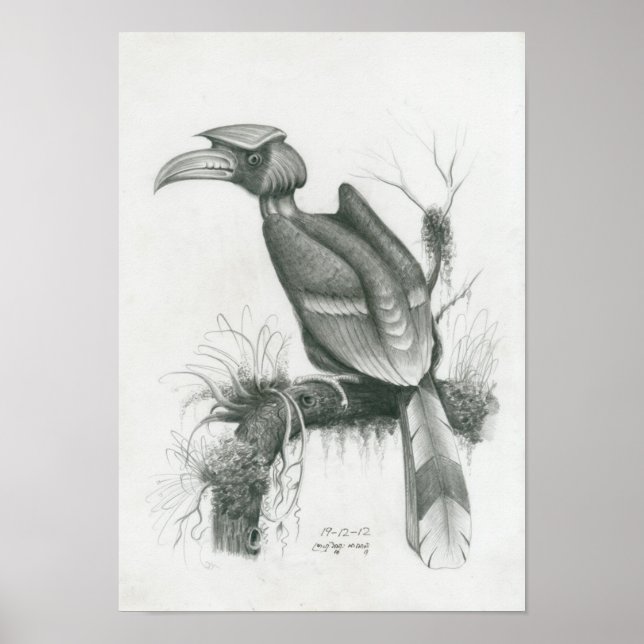 Poster of Cambodian Hornbill Bird by Vannak Prum (Front)