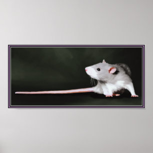 Poster of Cute Rat painting