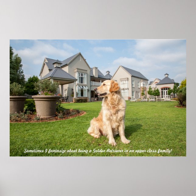 Poster of Golden Retriever in Garden with Quote (Front)