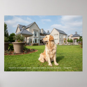 Poster of Golden Retriever with Quote