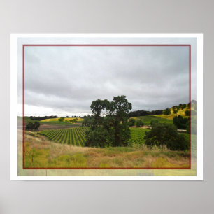 Poster of Paso Robles Wine Country