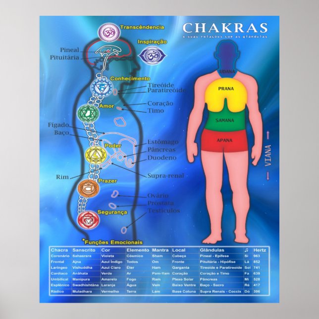 Pôster Os Chakras e suas ligações Poster (Front)
