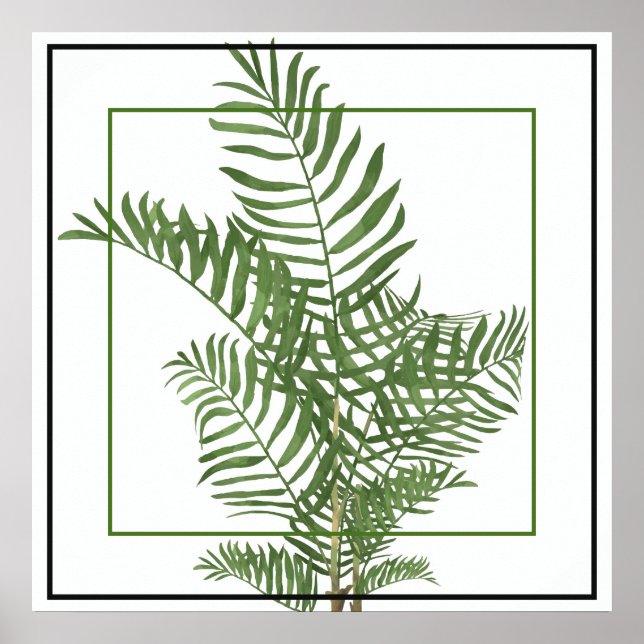 Poster-Palm 24" x 24" Poster (Front)
