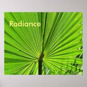 Poster - Palm Frond in the Sun
