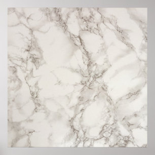 Poster Paper (Matte)