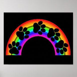 Poster Paws On A Rainbow