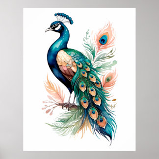 Poster peacock