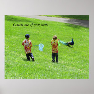 Poster - Peacock Hunters