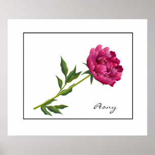 Poster-Peony Poster