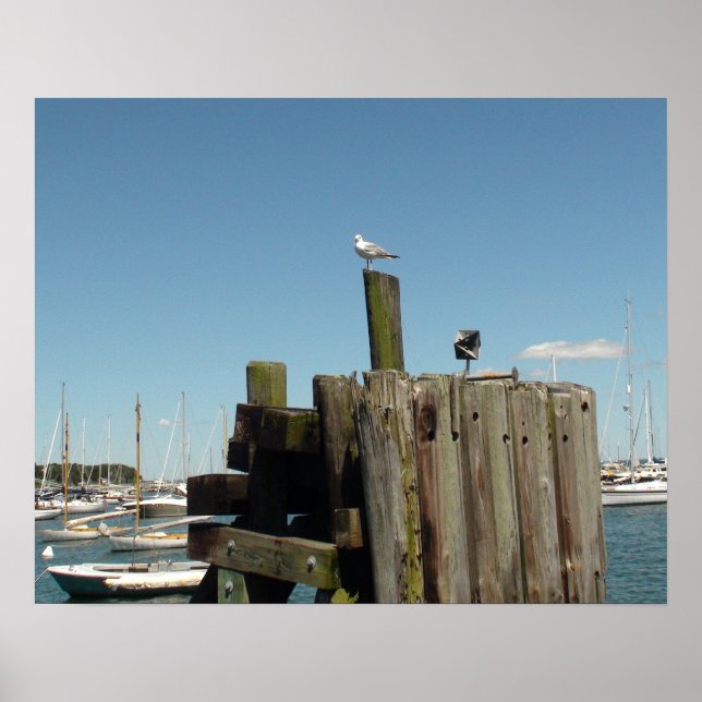 Poster: Photo from Martha's Vineyard Poster (Front)