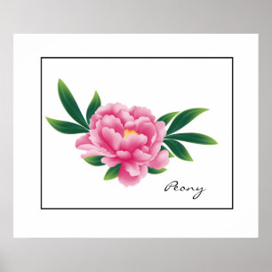 Poster-Pink Peony Poster