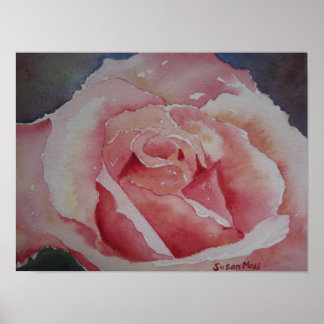 POSTER Pink Rose