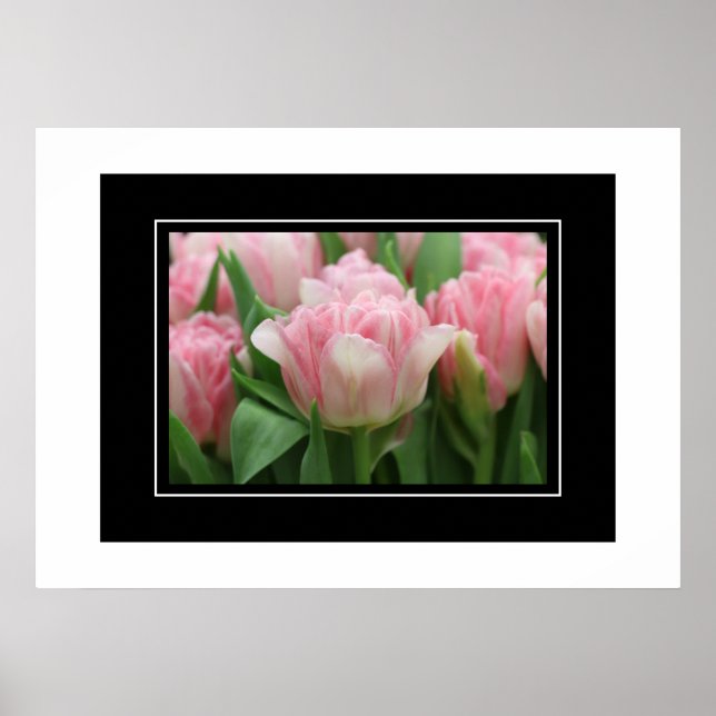 Poster Pink Tulips (Front)
