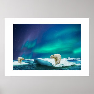 Poster-Polar Bears Poster