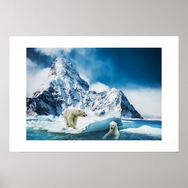 Poster-Polar Bears Poster (Front)