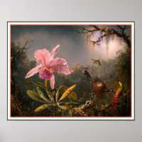 Poster/Print: Cattleya Orchid & Three Hummingbirds