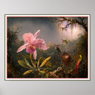 Poster/Print: Cattleya Orchid & Three Hummingbirds Poster