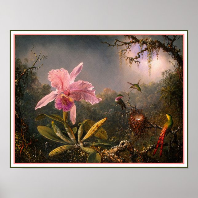 Poster/Print: Cattleya Orchid & Three Hummingbirds Poster (Front)