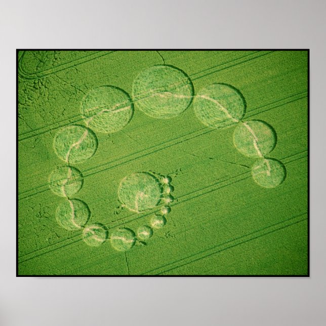 Poster Print:  Crop Circle - Single Julia (Front)