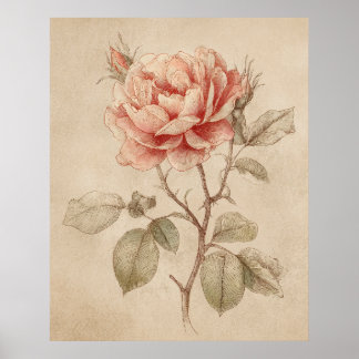 Poster Rose Vintage Nature Lover