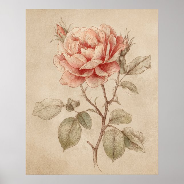 Poster  Rose  Vintage   Nature Lover (Front)