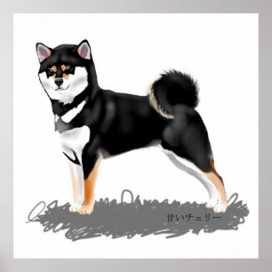 Poster Shiba inu