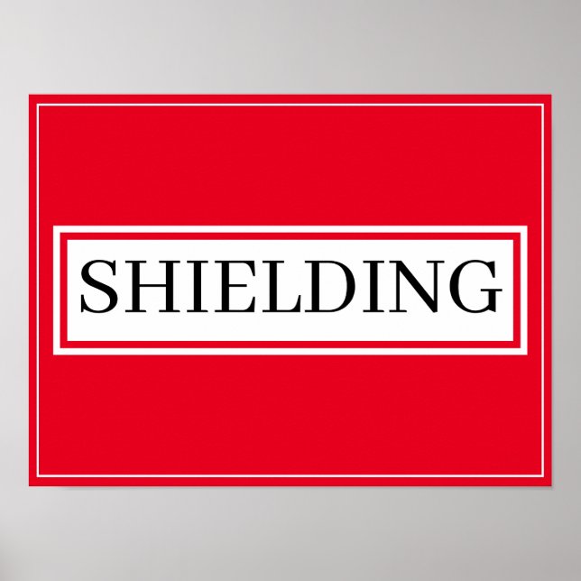 Poster - SHIELDING (Front)