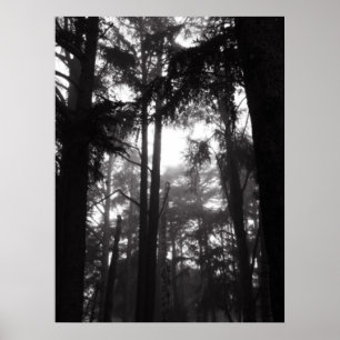 Poster - Silver Silence