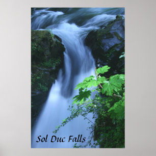 Poster: Sol Duc Falls Poster