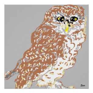 Poster Spotted Owl