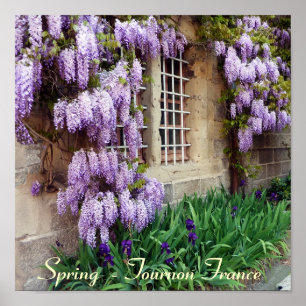 POSTER - Spring  - Tournon France